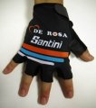 Cycling Gloves Santini 2015