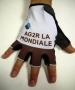 Cycling Gloves Ag2r 2015