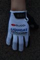 Cycling Gloves Liquigas 2014