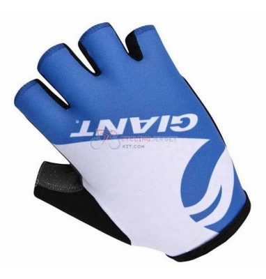 Cycling Gloves 2014 Blue And White