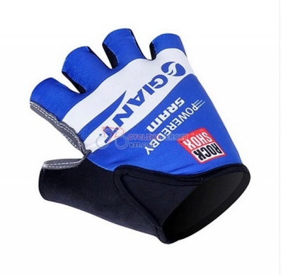 Glant Cycling Gloves 2012
