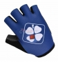 Cycling Gloves 2014 Blue