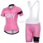 Women Cycling Jersey Kit Scott Short Sleeve 2015 Pink