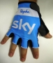Cycling Gloves Sky 2015 blue
